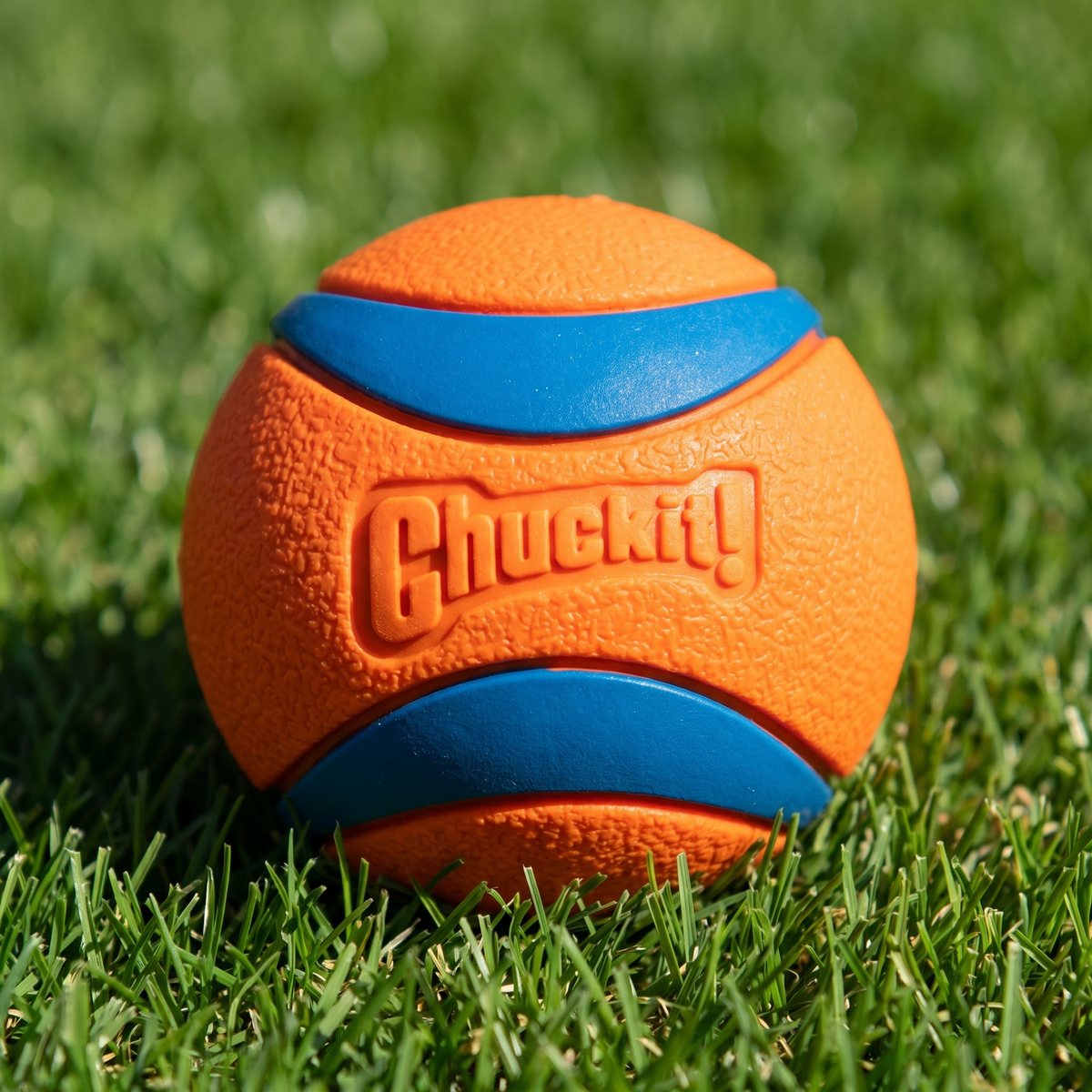 Chuckit! Ultra Ball close up on grass