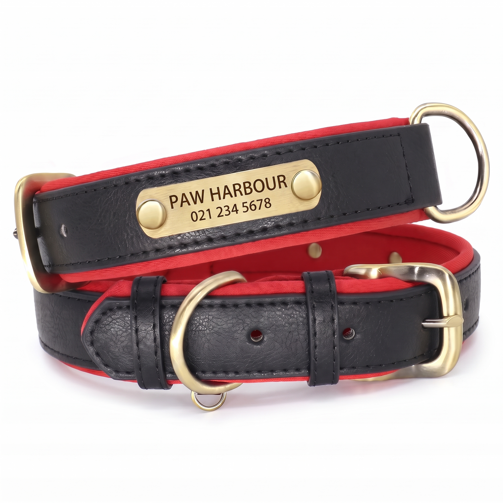 Personalised padded leather dog collar in black with engraved nameplate