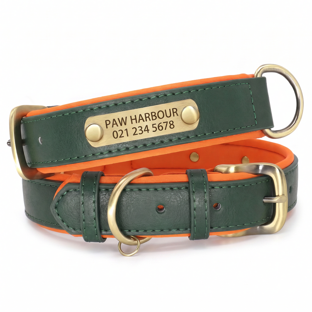 Personalised padded leather dog collar in green with engraved nameplate
