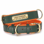 Personalised padded leather dog collar in green with engraved nameplate