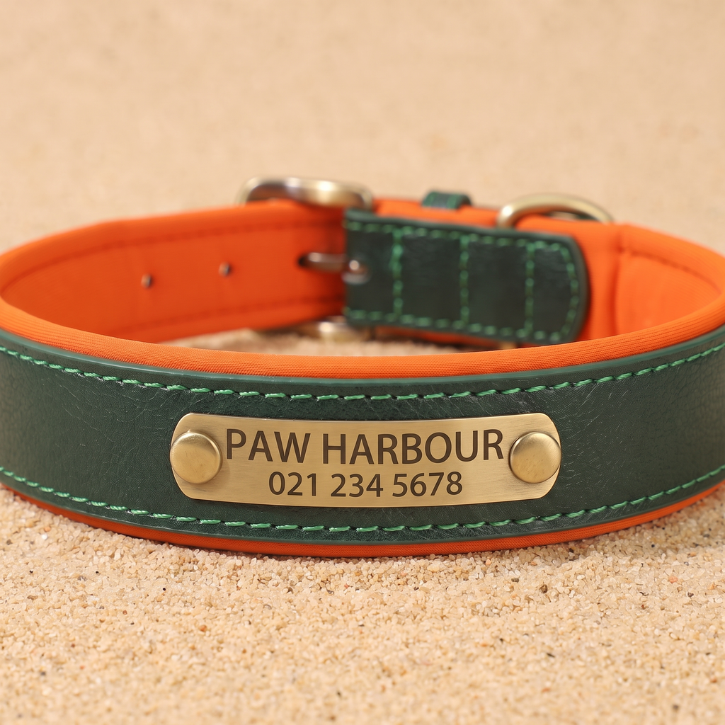 Close up of the engraved brass nameplate on the personalised padded leather dog collar