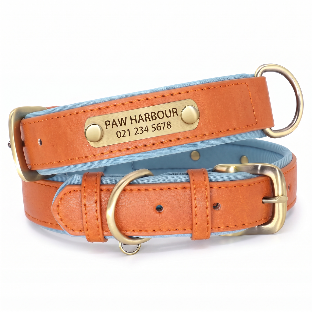 Personalised padded leather dog collar in orange with engraved nameplate