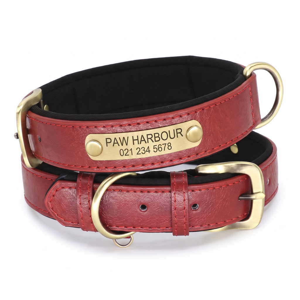 Personalised padded leather dog collar in red with engraved nameplate