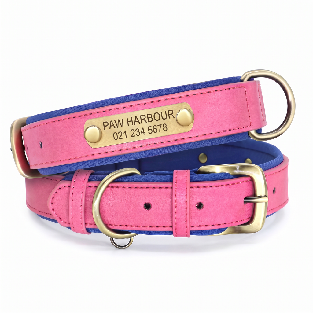 Personalised padded leather dog collar in rose pink with engraved nameplate