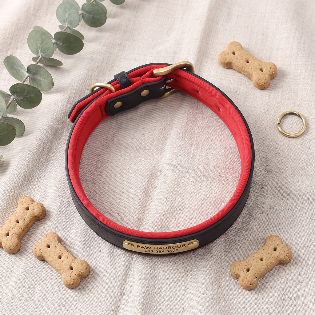 Black personalised padded leather dog collar flat lay with treats and eucalyptus