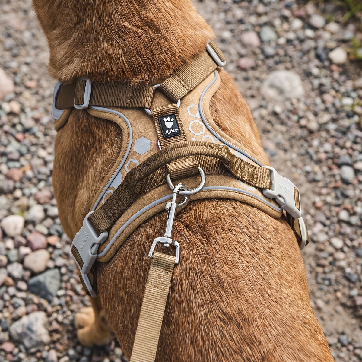 Close up of the grab handle, leash ring and reflective details on the Hurtta Weekend Warrior harness