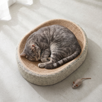 Grey tabby cat curled up asleep in the oval sisal scratcher bed, seen from above